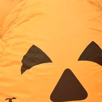 ずし (@zshuizshui) Twitter profile photo