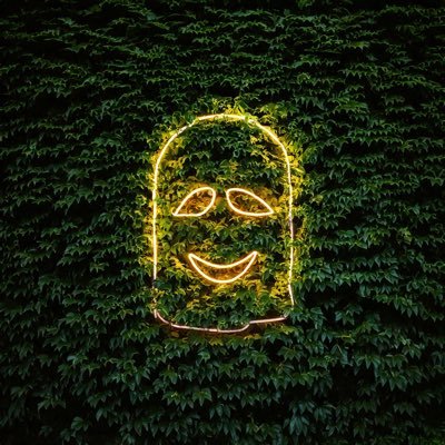 SmokeDAOfun's profile picture. We are high. You are not. Wanna joint? 🦖🌿🚬