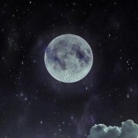 Mohr (@mohrraff) 's Twitter Profile