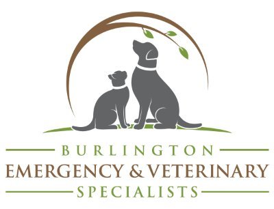 BEVS_VT's profile picture. Vermont’s only specialty and 24/7 emergency animal hospital, Burlington Emergency & Veterinary Specialists provides a level of care you won’t find anywhere else