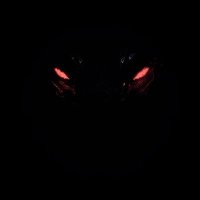 𝐖𝐘𝐑𝐌 (Disembodied Tyrant) (@pitovwyrms) 's Twitter Profile