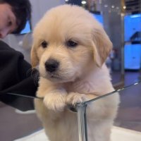 m i n t („• - •„)੭ (@mintminihouse) 's Twitter Profile Photo m i n t („• - •„)੭ (@mintminihouse) 's Twitter Profile Photo