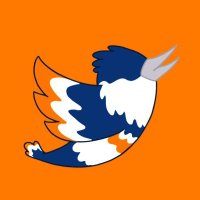 The Illinois Kingfisher (@kingfisheruiuc) 's Twitter Profile
