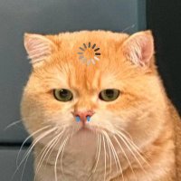 彡𝙅𝙪𝙜𝙪𝙧𝙩'𝙣𝙚𝙧🥃— 𝙅𝙃 (@_jellyjugurt77) 's Twitter Profile Photo 彡𝙅𝙪𝙜𝙪𝙧𝙩'𝙣𝙚𝙧🥃— 𝙅𝙃 (@_jellyjugurt77) 's Twitter Profile Photo