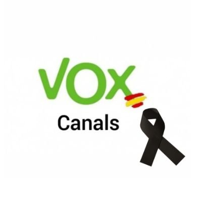 Bienvenidos a la cuenta oficial de VOX Canals. Afiliación: https://t.co/lhgV2y7tVd Facebook: https://t.co/qWCvl0XgaS