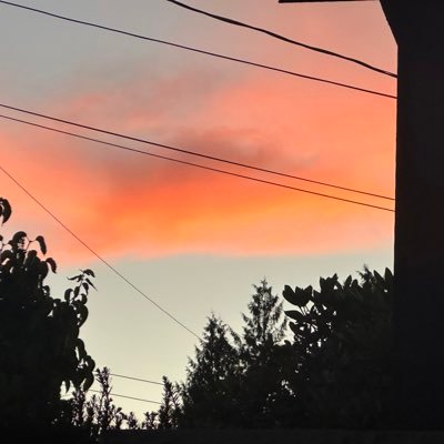 SleepingLobster's profile picture. Survivor.