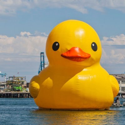 calligraf0's profile picture. Quack maniac @ Mentat.