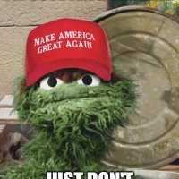 Skip the Insurrectionist 🇺🇸 (@skip_mcwiggins) 's Twitter Profile