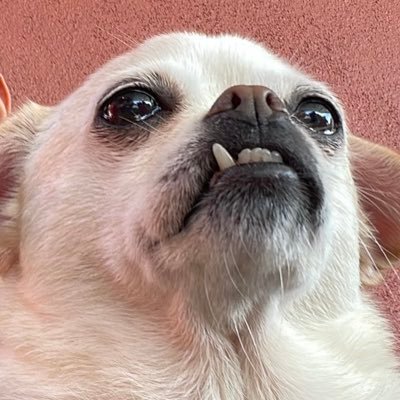 ravila_jr's profile picture. 🇺🇸 | sw engineer | former child