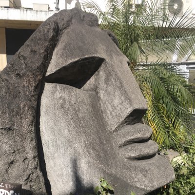 ohayou_mogura's profile picture. 言語に興味がある暑がりな白熊兼もぐら(怪しいものではございません) 修士(学術)