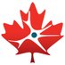 CCNA-CCNV (@ccna_ccnv) Twitter profile photo CCNA-CCNV (@ccna_ccnv) Twitter profile photo