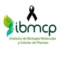IBMCP - Instituto de Biología Molecular y Celular (@ibmcp) 's Twitter Profile