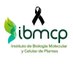 IBMCP - Instituto de Biología Molecular y Celular (@ibmcp) Twitter profile photo IBMCP - Instituto de Biología Molecular y Celular (@ibmcp) Twitter profile photo