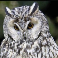 Nora Mohr (@noramohr2) 's Twitter Profile
