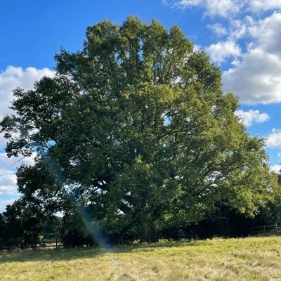 assingtonfruits's profile picture. Husband, Dad of 2 sport loving boys..MD of Birds Farm Trees .🌳🌳