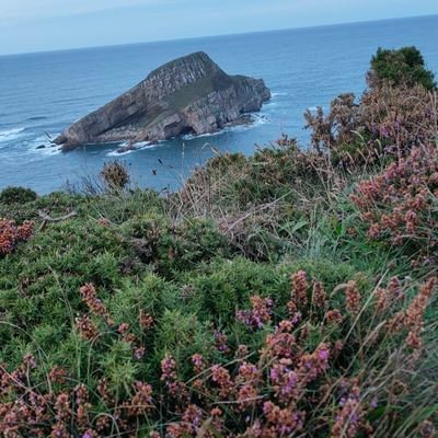 Lpareraspuig's profile picture. Scuba diver
Human biologist
Obsessed reader