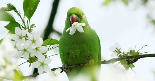 Lolajhanka's profile picture. 