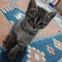Obikaramel (@tugce_ter) 's Twitter Profile