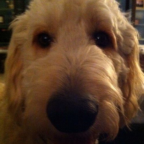 PV2Mom's profile picture. 