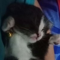 D.A.D (@dad17538461) 's Twitter Profile