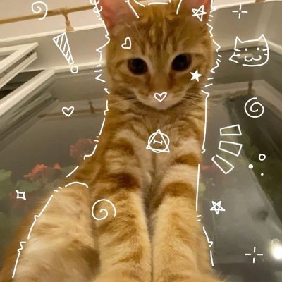 percbimu's profile picture. An artist without creativity and skill, we have a cat sect, welcome😼 #украрт🇺🇦