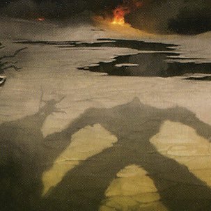 payforpact's profile picture. Better lucky than good