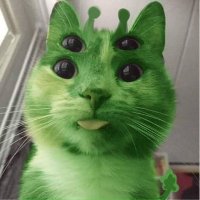 Guizolas (@guizoillu) 's Twitter Profile