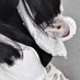 きゃんち (@kyanchi321958) Twitter profile photo きゃんち (@kyanchi321958) Twitter profile photo