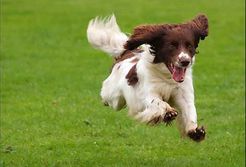 NicolaWello's profile picture. Be happy and healthy with me