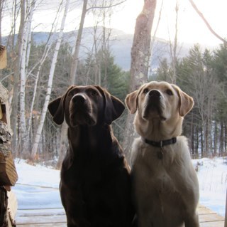 markdmcgowan's profile picture. Don't believe everything you think.