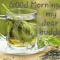 mohi uddin (@mohiuddin170349) 's Twitter Profile