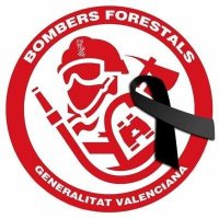 Bomberforest (@bomberforest1) 's Twitter Profile