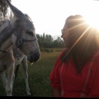 delidelikonuş (@delidelikonus) Twitter profile photo