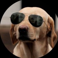 The Crypto Dog 📈 (@tioonpoint) 's Twitter Profile