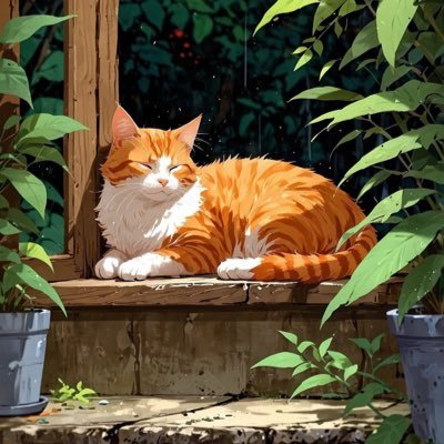 dandy0210's profile picture. femdom-4i-M-boy 🇻🇳