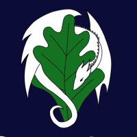 ⚔️Remdragon Maidens⚔️ (@rdmaidens) 's Twitter Profile