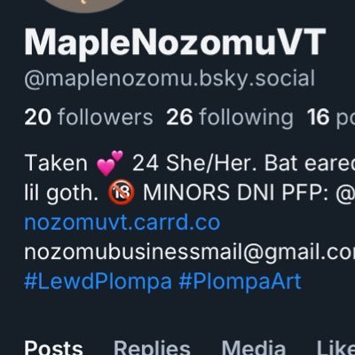 Maple Nozomu 🦇🦊さんのプロフィール画像