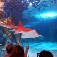 PC (@jasoncook459908) 's Twitter Profile