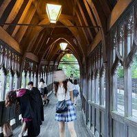 まいか (@maika1831364) Twitter profile photo