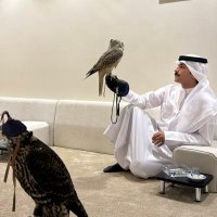 بندر مطلق المطيري (@i3o5e) Twitter profile photo