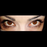 SuperStefy P. (@stefysuperste) 's Twitter Profile