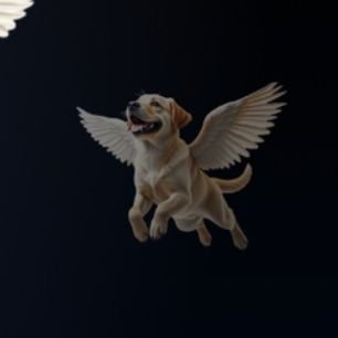 I_am_your_vicky's profile picture. ❤️ SR ❤
🤵🏻ᴠɪɢɴᴇsʜ 🤵🏻 
❤️🅲🅷🅴🅽🅽🅰🅸ᴀᴛᴇ❤️ 
 ❤️SOCIAL ACTIVIST❤️
PSYCHOLOGY
ASPIRING IAS ❤