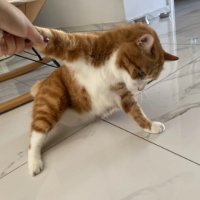 はるか (@samsceillsx) 's Twitter Profile
