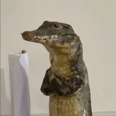 Caiman De Las Agüitasさんのプロフィール画像