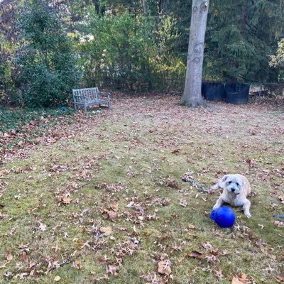 arthurtvvv's profile picture. Go Blue / #RepDetroit