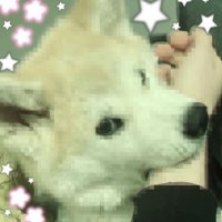 soff (@sussysoff) 's Twitter Profile Photo soff (@sussysoff) 's Twitter Profile Photo