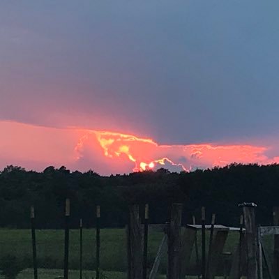 FaithMama31_'s profile picture. Warrior for Christ💚Mama to Many💚Wife💚Patriot💚Rabbit Farmer💚 MAGA🇺🇸🇮🇱💚