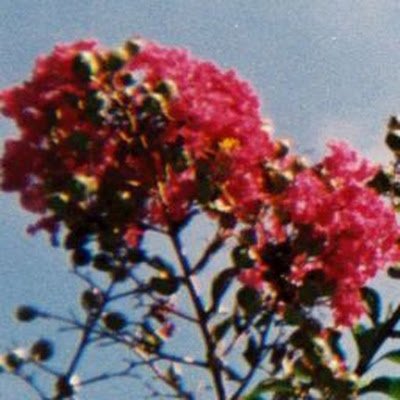 Javame659985's profile picture. 