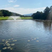 Hubashni (@hubashni) 's Twitter Profile