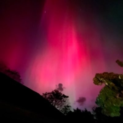 STOPHS1's profile picture. water and bacon